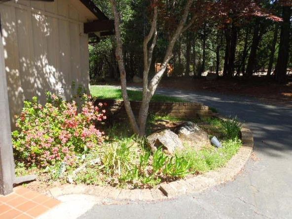 17330 Hummingbird Ln, Brownsville, CA 95919